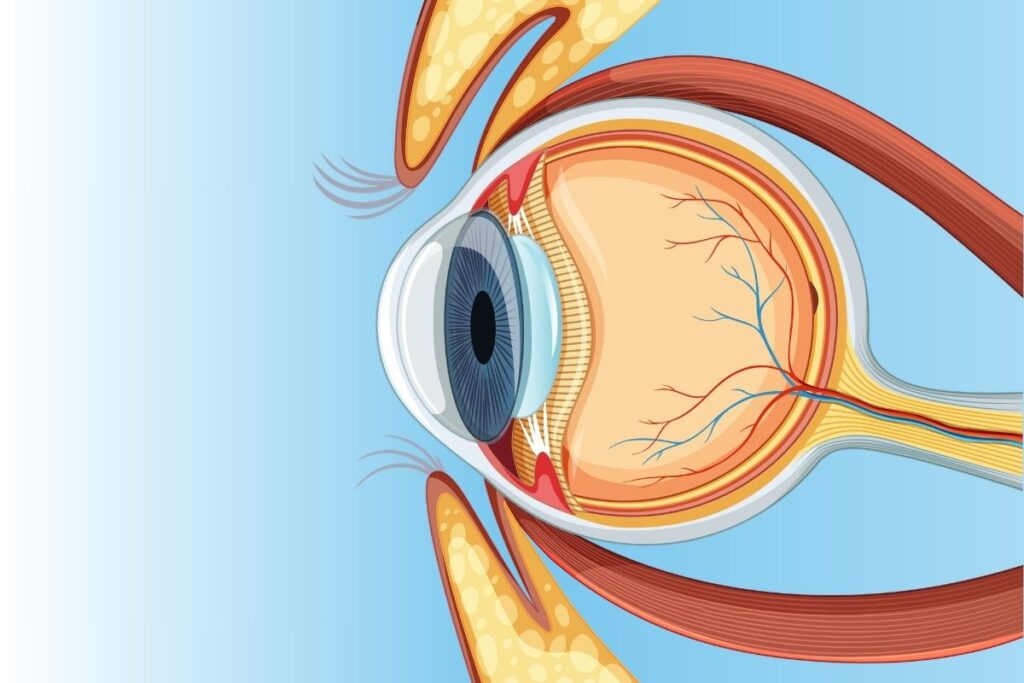 Importance of Advanced Diagnosis​ eye-surgery-diagram